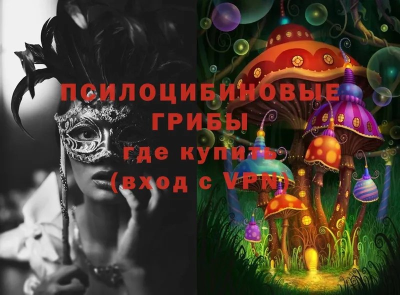 Галлюциногенные грибы Magic Shrooms  Югорск 